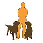 Stadtfelle - Hundetraining - Erziehung und mehr